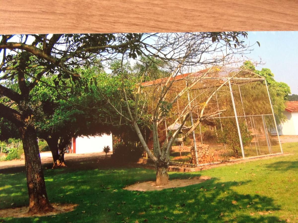 Chácara à venda com 3 quartos, 30000m² - Foto 19