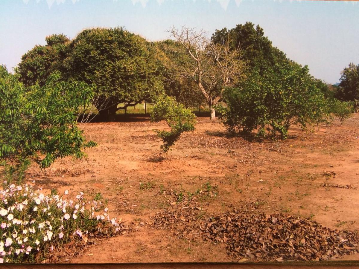 Chácara à venda com 3 quartos, 30000m² - Foto 25