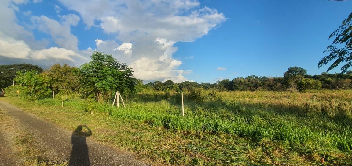 Terreno à venda, 6000m² - Foto 8