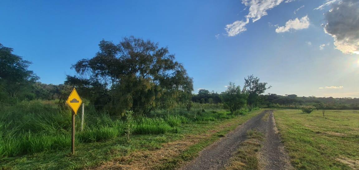 Terreno à venda, 6000m² - Foto 4