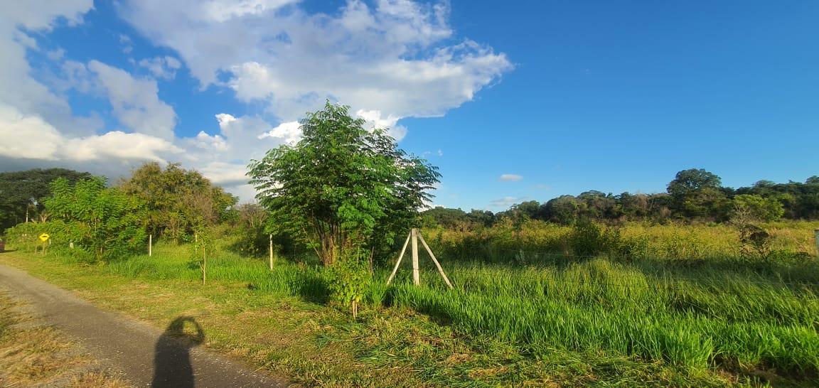 Terreno à venda, 6000m² - Foto 5