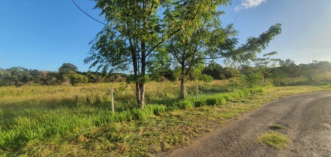 Terreno à venda, 6000m² - Foto 6