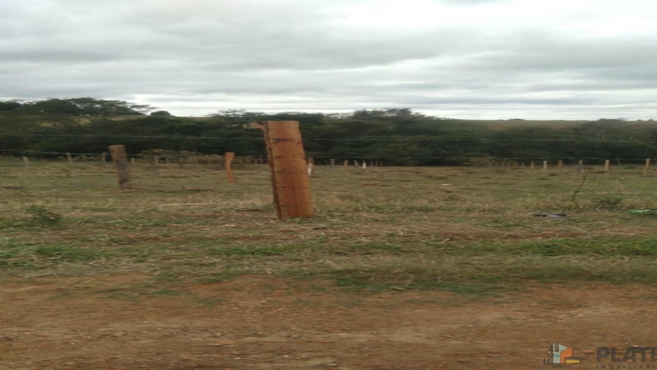 Terreno à venda, 1300m² - Foto 2