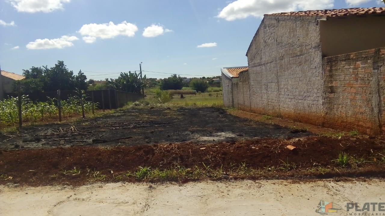 Terreno à venda, 250m² - Foto 4