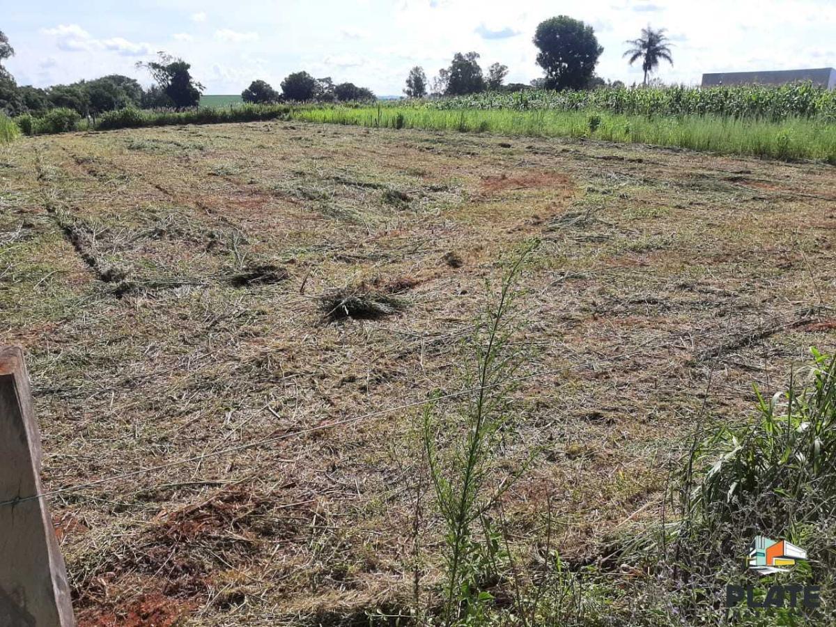 Terreno à venda, 1000m² - Foto 7