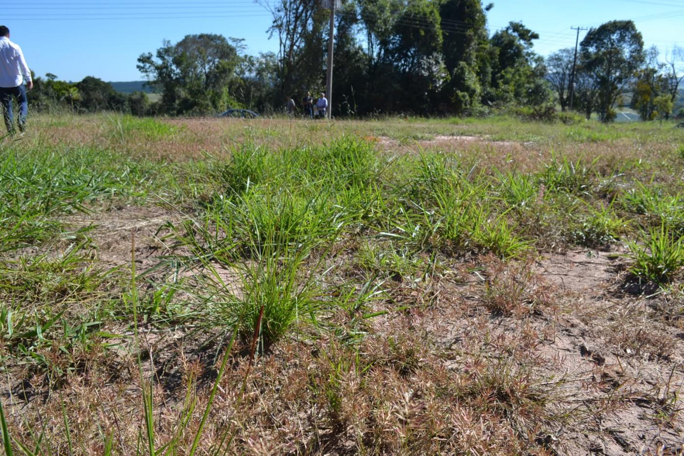 Terreno à venda, 450m² - Foto 5