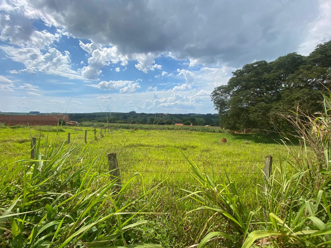 Chácara à venda, 1000m² - Foto 1