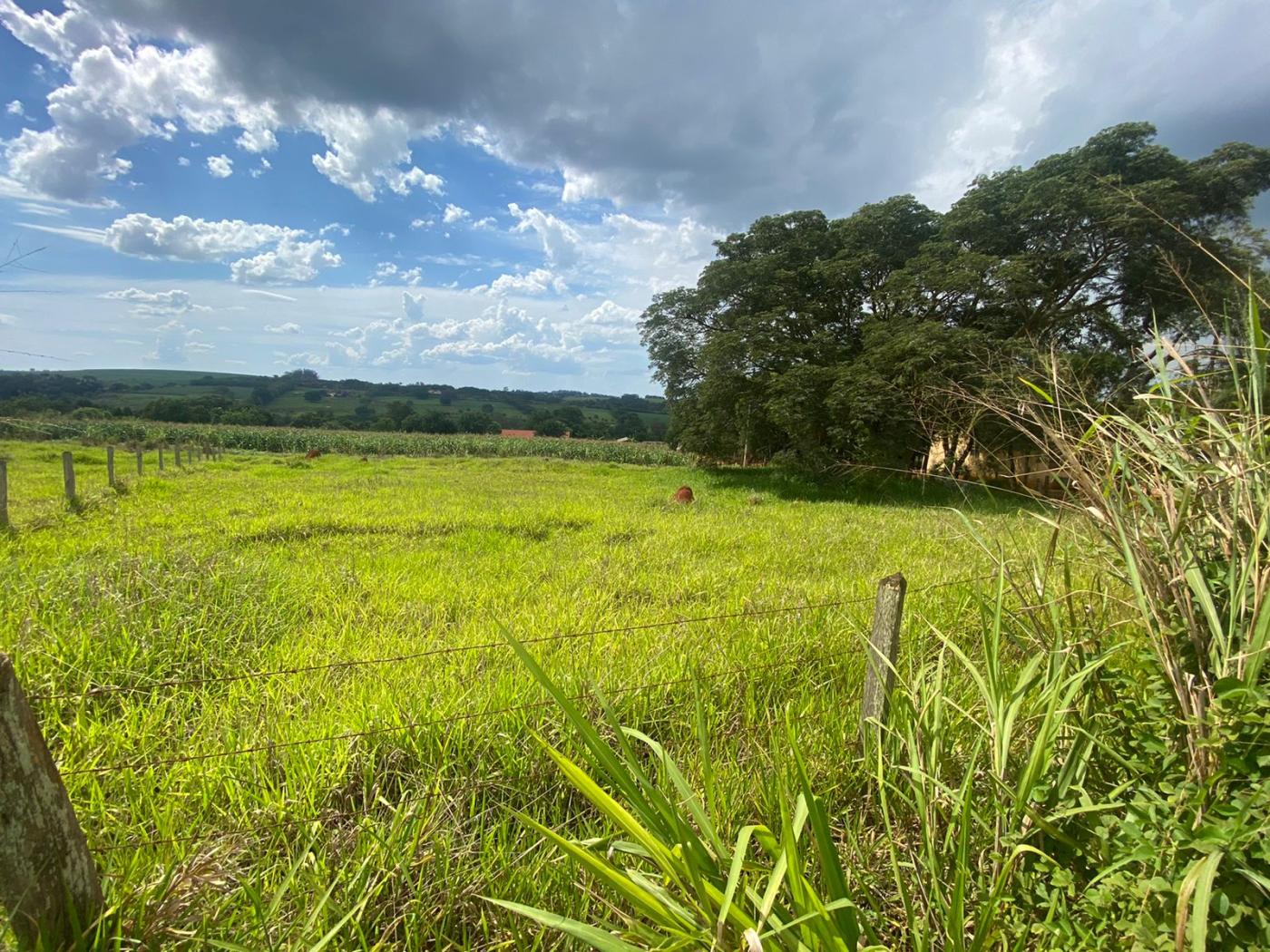 Chácara à venda, 1000m² - Foto 2