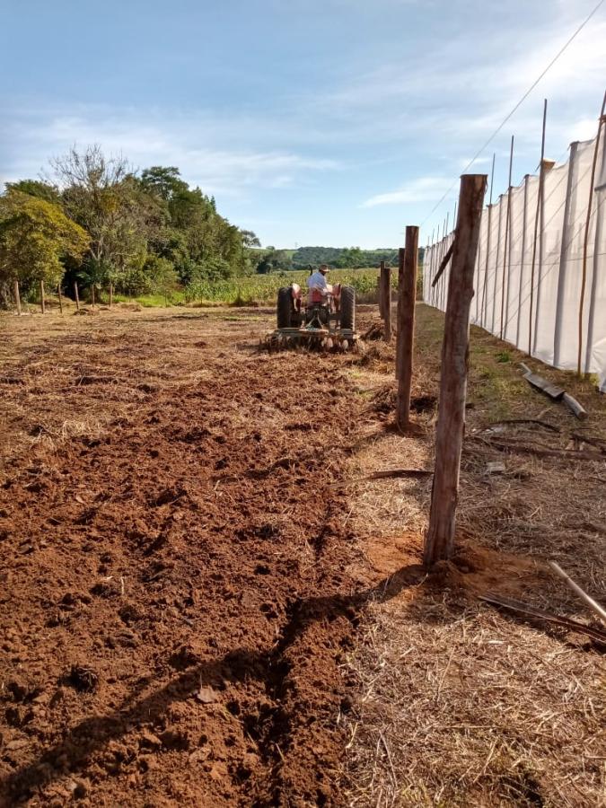 Chácara à venda, 11000m² - Foto 10