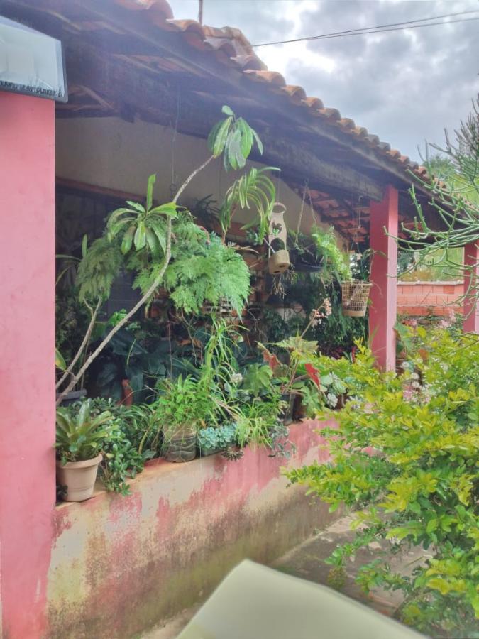 Chácara à venda com 1 quarto, 1000m² - Foto 4