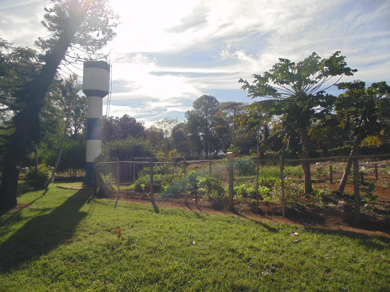 Chácara à venda com 3 quartos, 23900m² - Foto 14