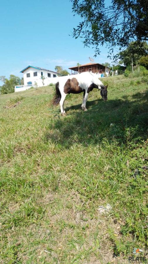 Chácara à venda, 7m² - Foto 4