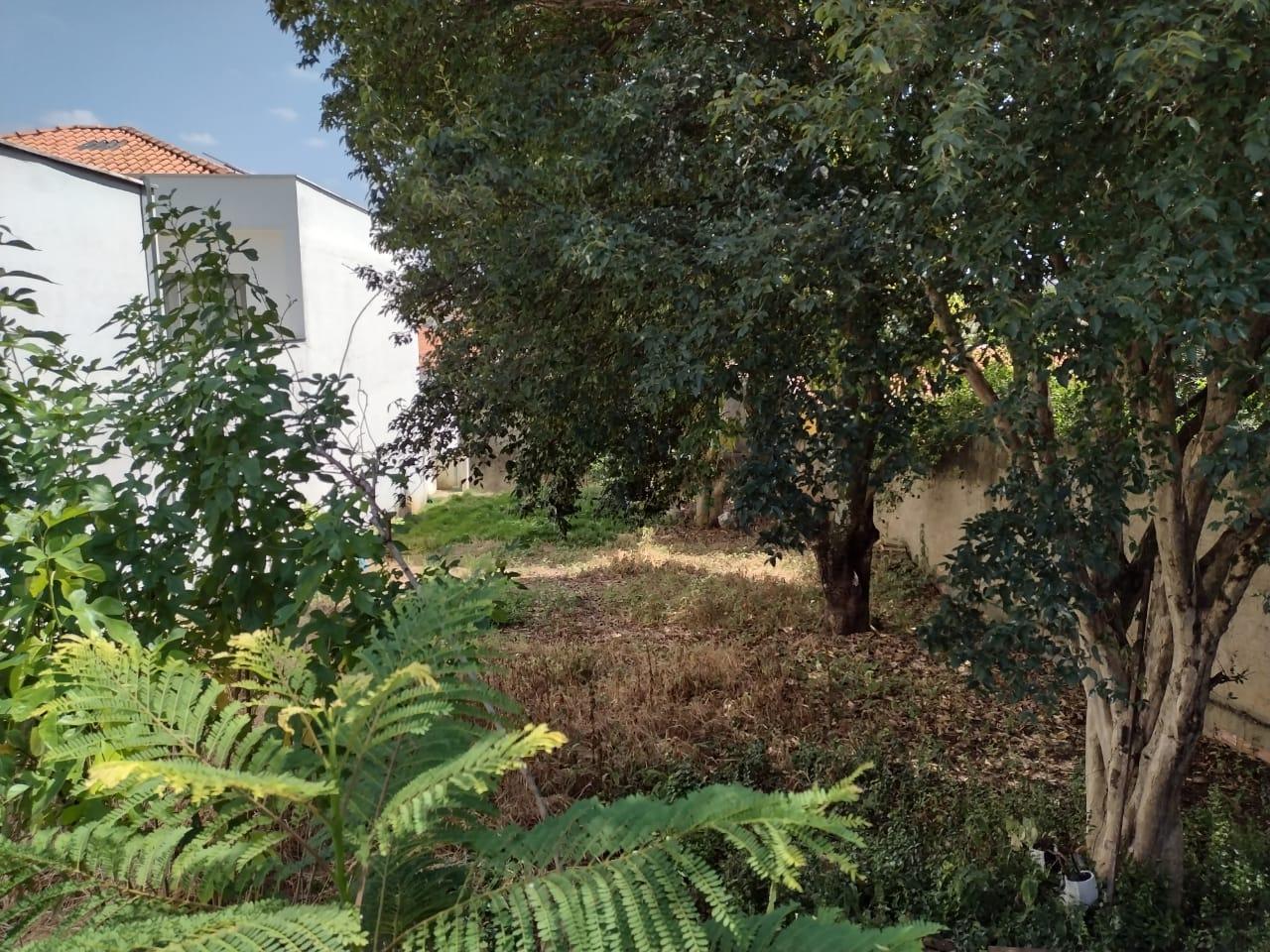 Terreno à venda, 300m² - Foto 2